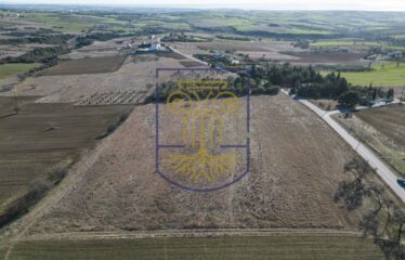 Plot, 19000 sq.m.