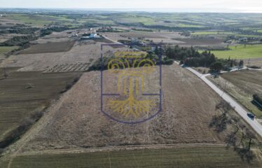 Plot, 19000 sq.m.