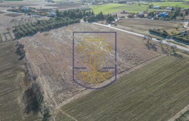 Plot, 19000 sq.m.