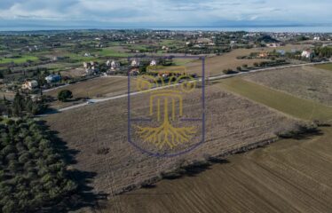 Plot, 19000 sq.m.