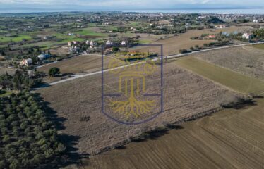 Plot, 19000 sq.m.