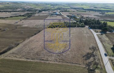 Plot, 19000 sq.m.