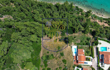 Plot, 13400 sq.m.