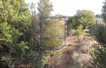 Plot, 2000 sq.m.