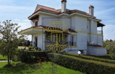 Detached House, 250sq.m