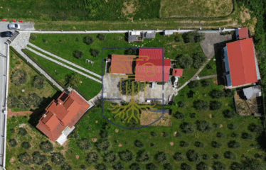 Detached House, 250sq.m