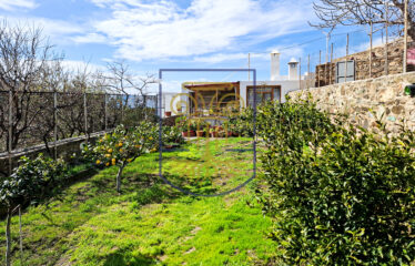 Traditional Home with 12,619 sq.m. of Land
