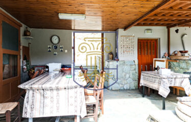 Traditional Home with 12,619 sq.m. of Land