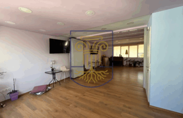 Commercial Space, 131 sq.m