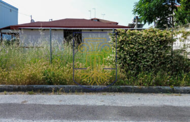 Plot, 253sq.m.