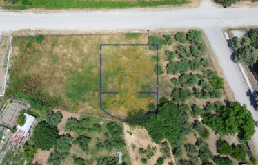 Plot of Land, 1,300 sq.m.