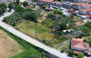 Plot of Land, 1,300 sq.m.
