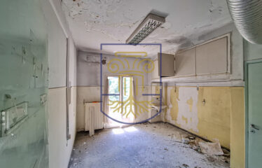 Commercial Building, 500 sq.m.