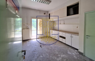 Commercial Building, 500 sq.m.