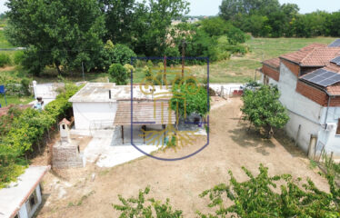Plot 1000 SQ.M.
