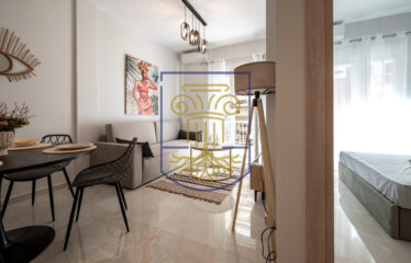 Studio 40 sq.m.