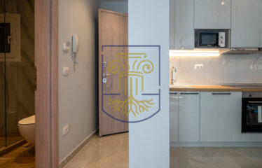 Studio 40 sq.m.