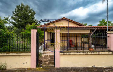 Detached House, 42 sq.m.