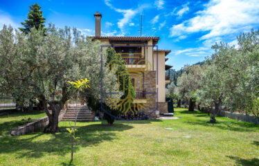 Detached House, 330 sq.m.