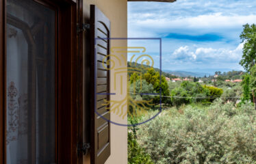 Detached House, 330 sq.m.
