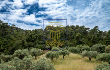 Detached House, 330 sq.m.