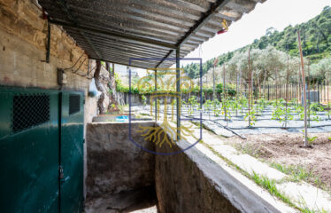 Detached House, 330 sq.m.