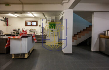 Detached House, 330 sq.m.