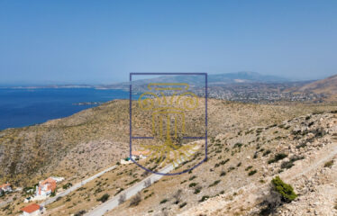 Plot, 611 sq.m.