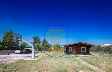 Detached House, 235 sq.m.