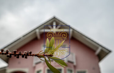 Detached House, 237 sq.m.