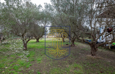 Detached House, 200 sq.m.
