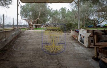 Detached House, 200 sq.m.