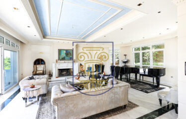 Protected: Luxurious Mansion, 1.285 sq.m.
