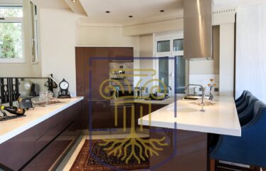 Protected: Luxurious Mansion, 1.285 sq.m.