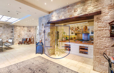 Protected: Luxurious Mansion, 1.285 sq.m.