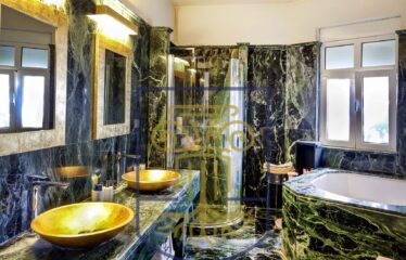 Protected: Luxurious Mansion, 1.285 sq.m.