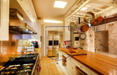 Protected: Luxurious Mansion, 1.285 sq.m.