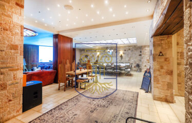 Protected: Luxurious Mansion, 1.285 sq.m.