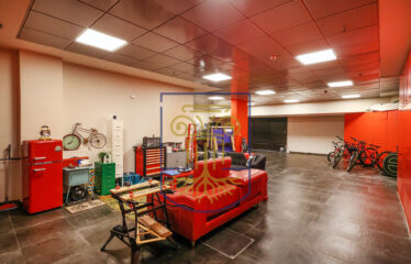 Protected: Luxurious Mansion, 1.285 sq.m.
