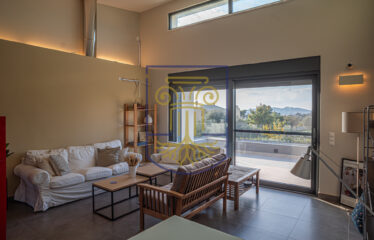 Apartment, 110 SQ.M.