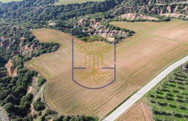 Agricultural land plot, 4000 SQ.M.