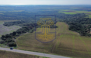 Agricultural land plot, 4000 SQ.M.