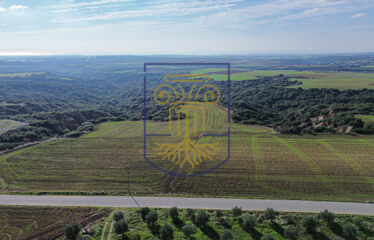 Agricultural land plot, 4000 SQ.M.