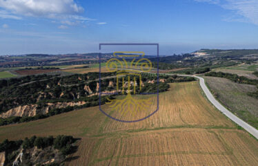 Agricultural land plot, 4000 SQ.M.