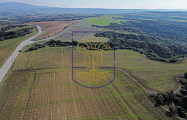 Agricultural land plot, 4000 SQ.M.