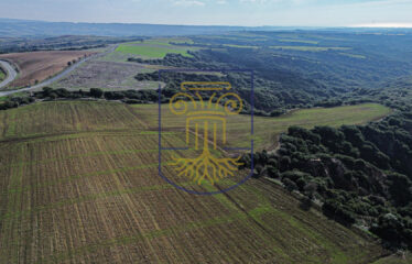 Agricultural land plot, 4000 SQ.M.