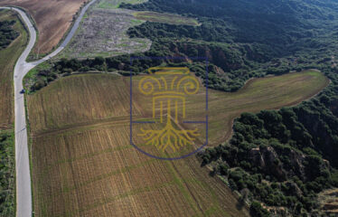 Agricultural land plot, 4000 SQ.M.