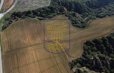 Agricultural land plot, 4000 SQ.M.