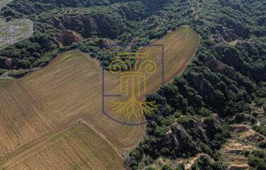 Agricultural land plot, 4000 SQ.M.