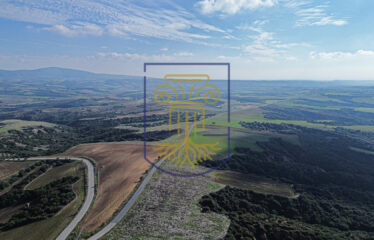 Agricultural land plot, 4000 SQ.M.